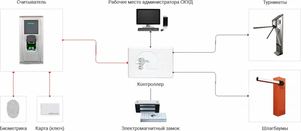 skud-types-2.webp